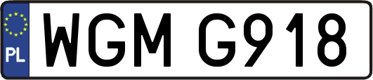 WGMG918