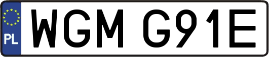 WGMG91E