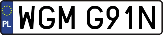 WGMG91N
