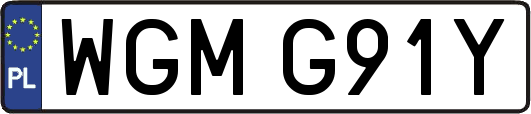 WGMG91Y