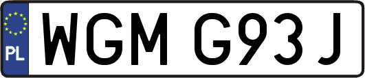 WGMG93J