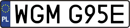 WGMG95E