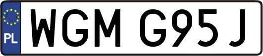 WGMG95J