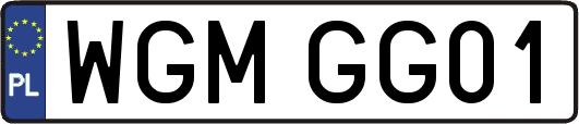 WGMGG01