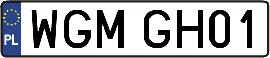 WGMGH01