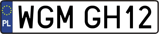 WGMGH12