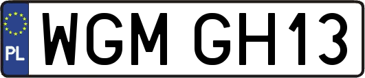 WGMGH13