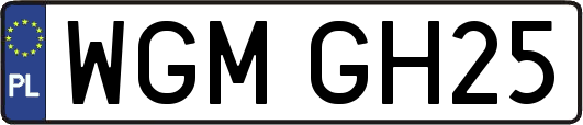 WGMGH25