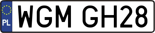 WGMGH28