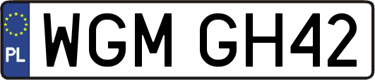 WGMGH42