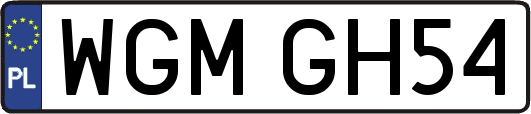 WGMGH54