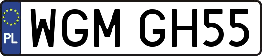 WGMGH55