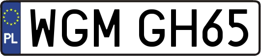 WGMGH65