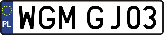 WGMGJ03