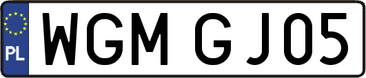 WGMGJ05