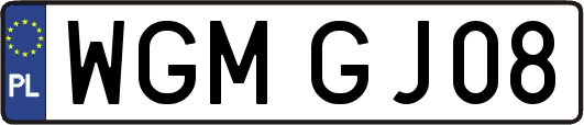 WGMGJ08
