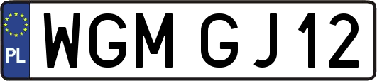 WGMGJ12