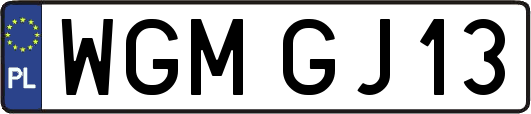 WGMGJ13