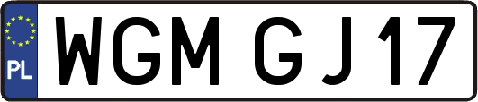 WGMGJ17