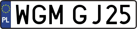 WGMGJ25