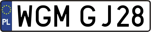WGMGJ28