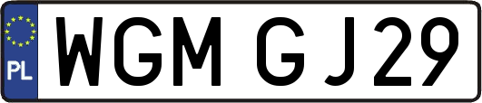 WGMGJ29