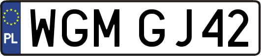 WGMGJ42