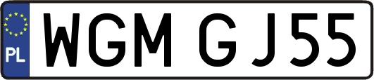 WGMGJ55