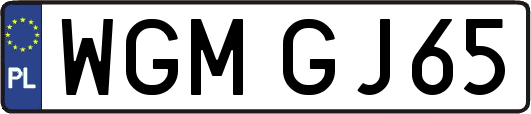 WGMGJ65
