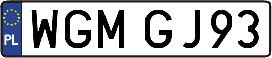 WGMGJ93