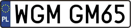 WGMGM65