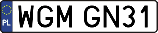 WGMGN31