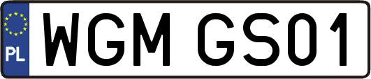 WGMGS01