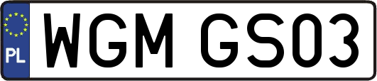 WGMGS03