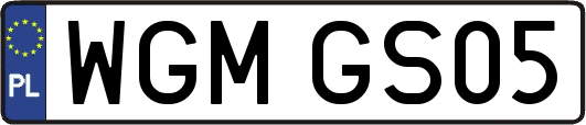 WGMGS05