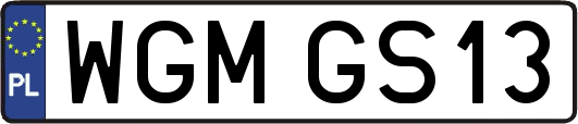 WGMGS13