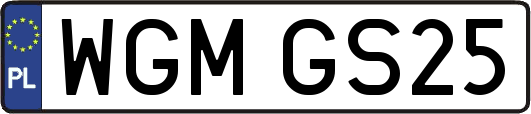 WGMGS25