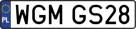 WGMGS28