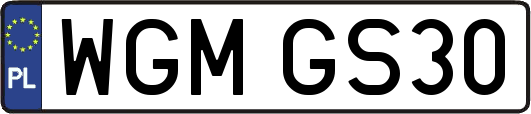 WGMGS30
