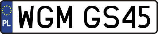 WGMGS45