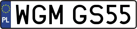 WGMGS55