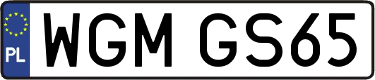 WGMGS65