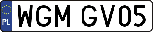 WGMGV05