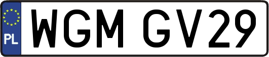 WGMGV29