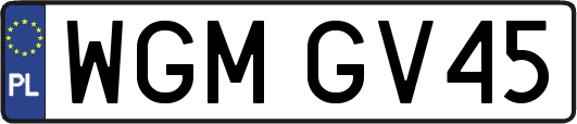 WGMGV45