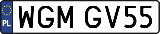 WGMGV55