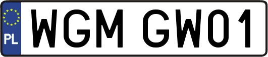 WGMGW01