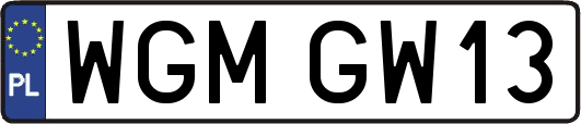 WGMGW13