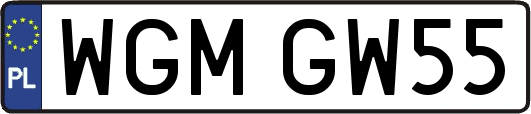 WGMGW55