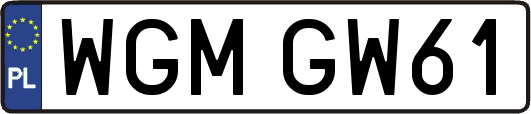 WGMGW61